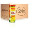 Wilson Championship 24x 3 Ball Tube In A Box