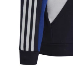ADIDAS Colorblock 3-Stripes Hoody Boys -Tennis Cheap Shop 18064000 12